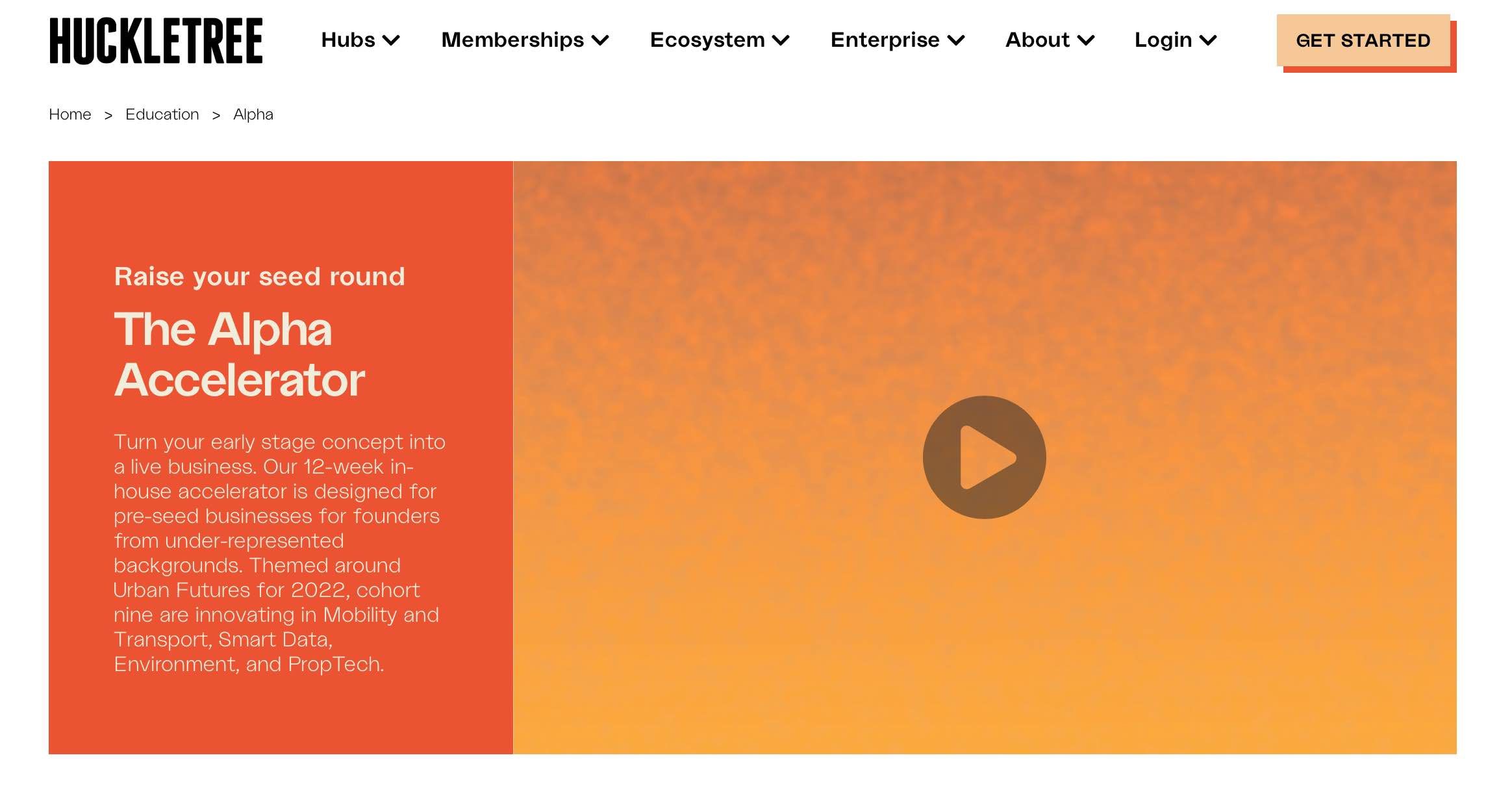 Huckletree website