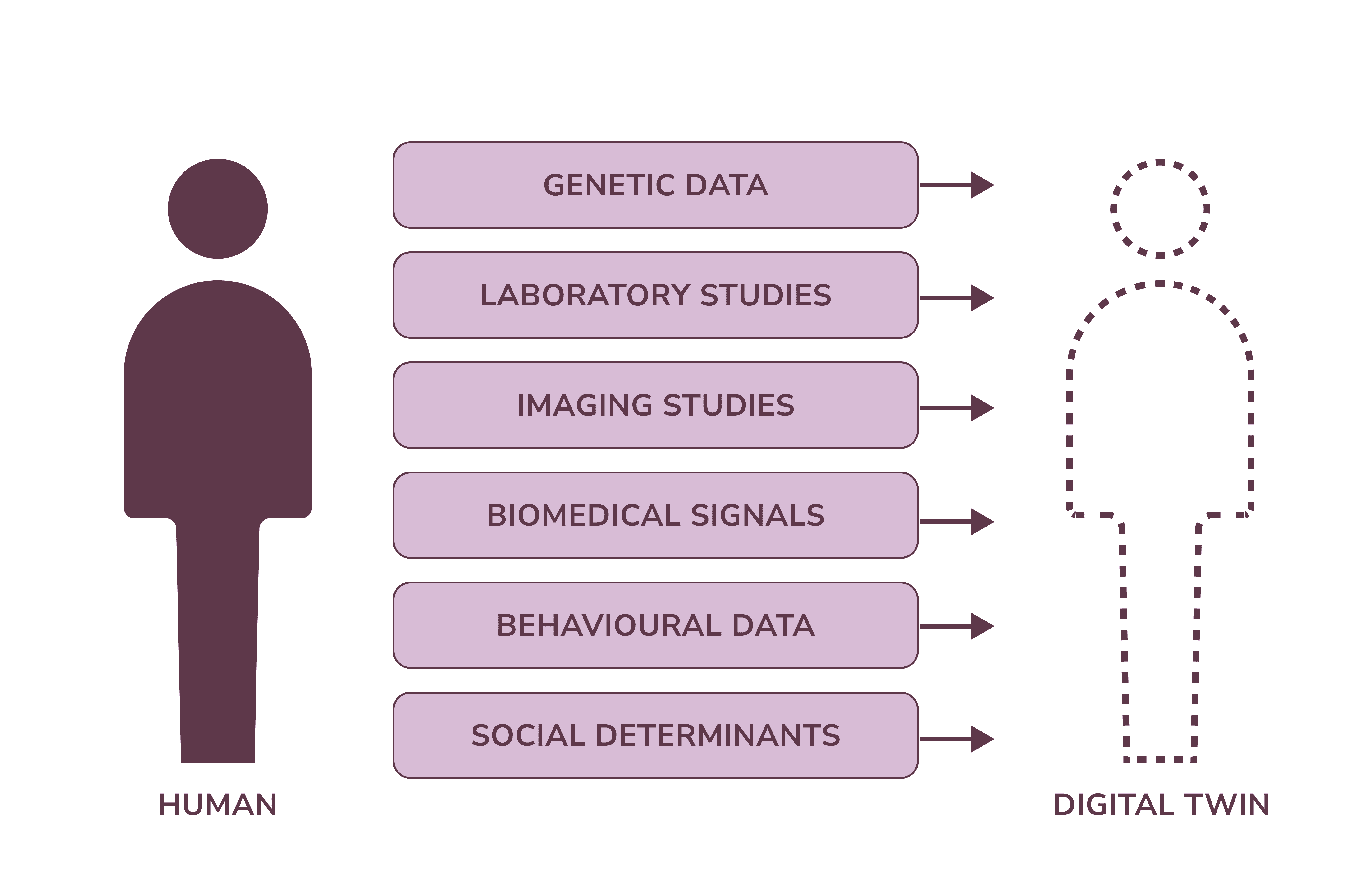 digital twins in healthcare.  AI companies in healthcare